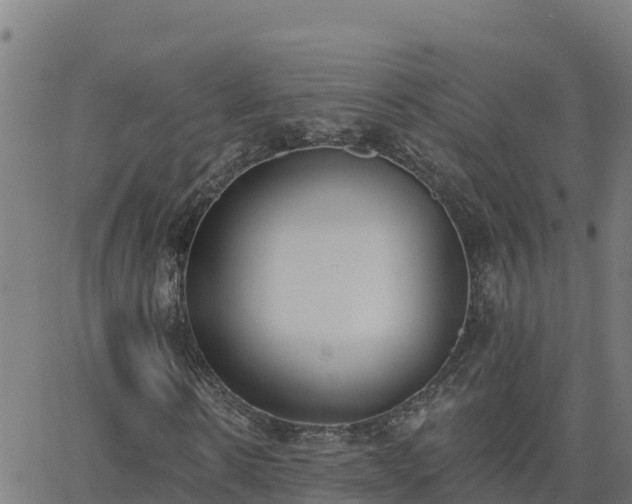 X0000062840914200601201634