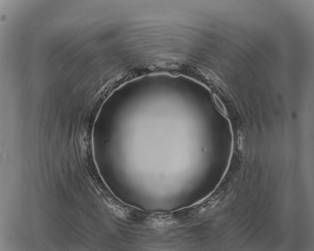 X0000062840915200601201634