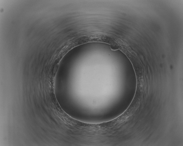 X0000062840916200601201634