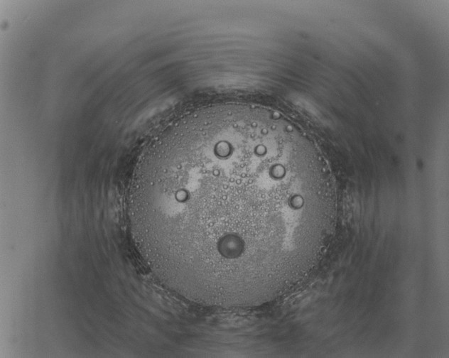 X0000062840917200601201634