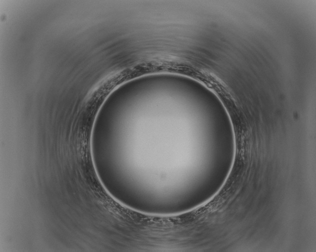 X0000062840919200601201634