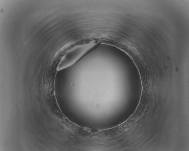 X0000062840920200601201634