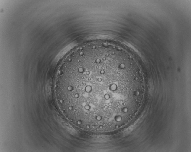 X0000062840921200601201634