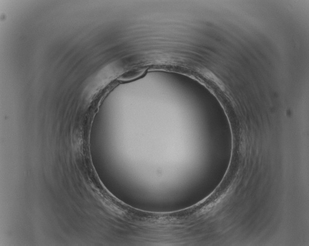 X0000062840922200601201634