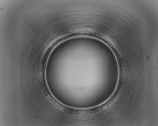 X0000062840923200601201634