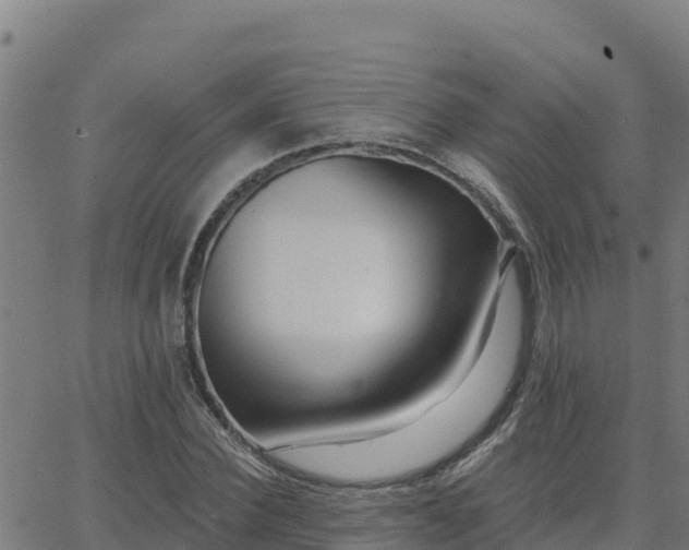 X0000062840924200601201634