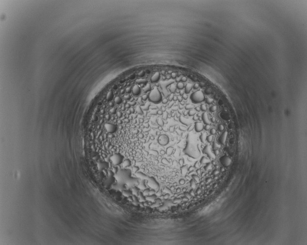 X0000062840925200601201634