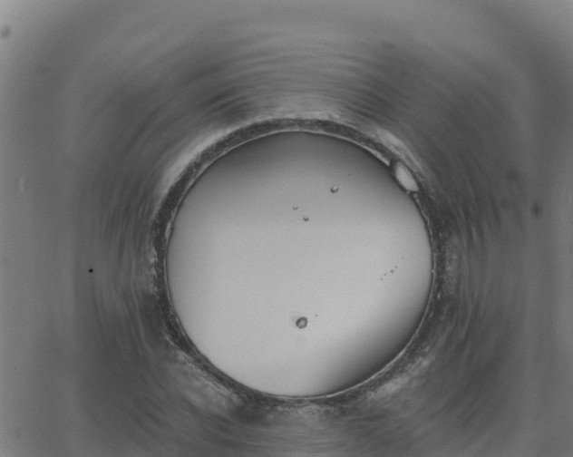 X0000062840926200601201634