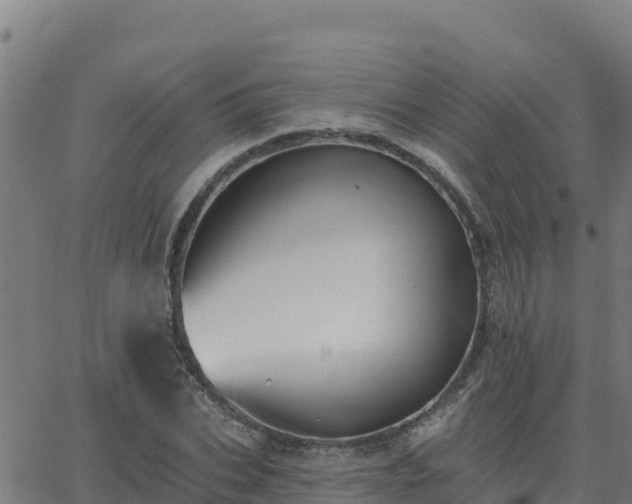 X0000062840927200601201634