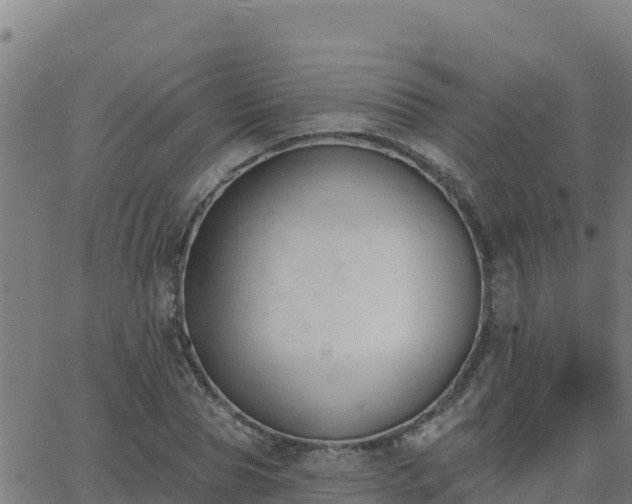 X0000062840929200601201634