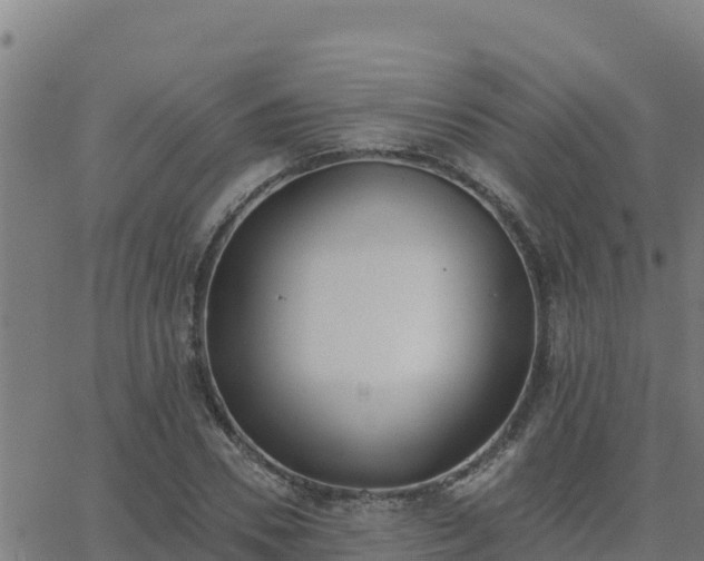 X0000062840930200601201634