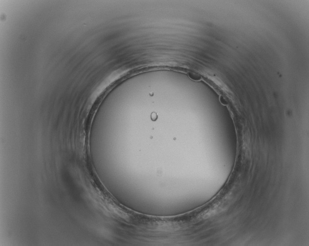 X0000062840933200601201634