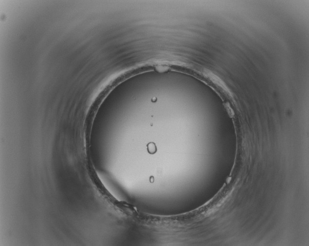 X0000062840934200601201634