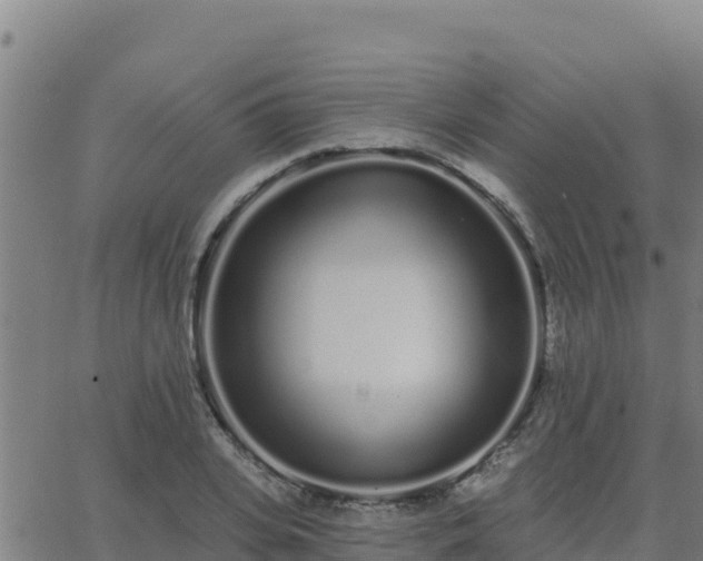 X0000062840935200601201634