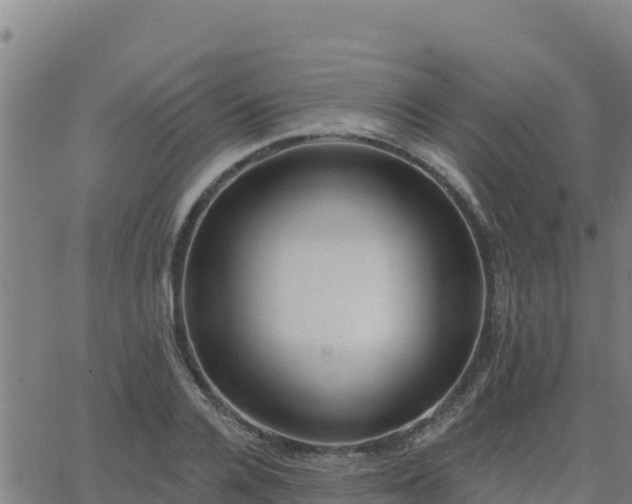 X0000062840936200601201634