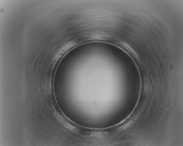 X0000062840938200601201634