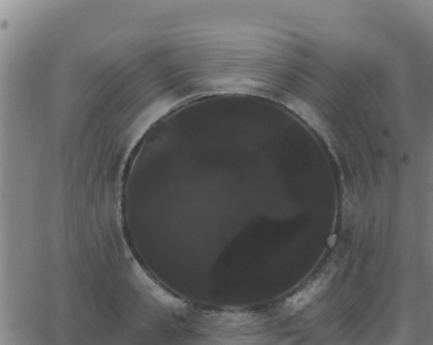 X0000062840941200601201634