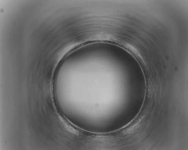 X0000062840942200601201634