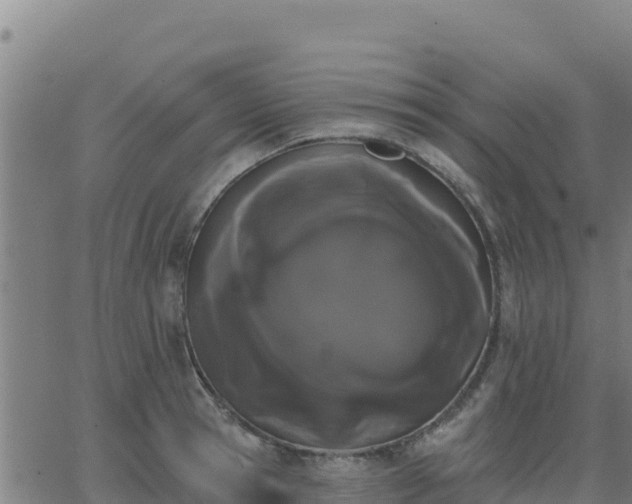 X0000062840945200601201634