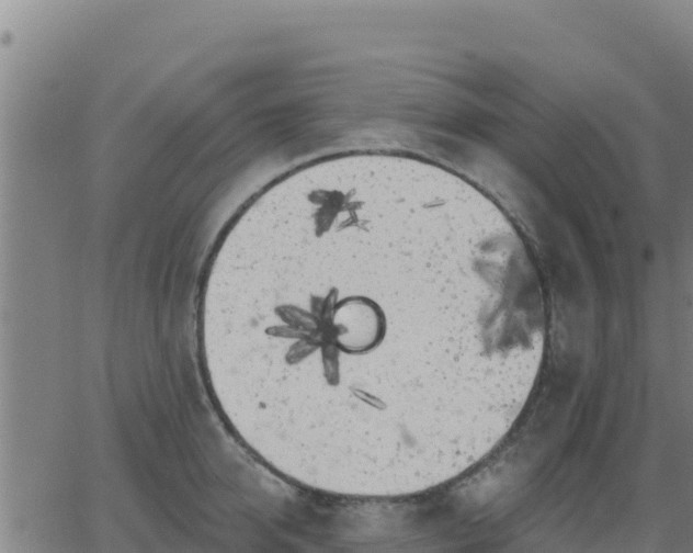 X0000062840950200601201634