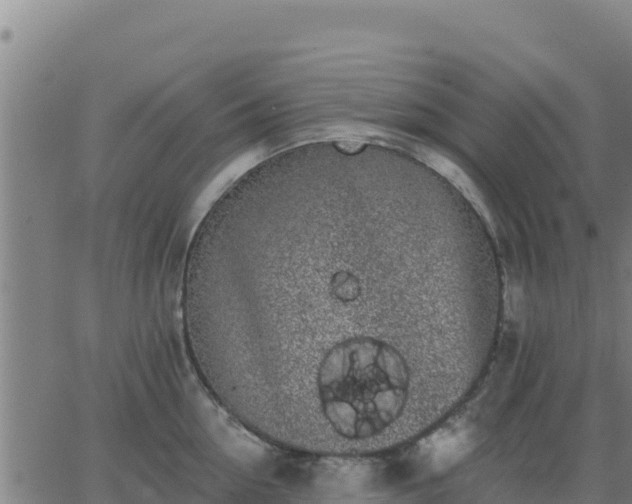 X0000062840954200601201634