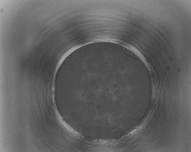 X0000062840955200601201634