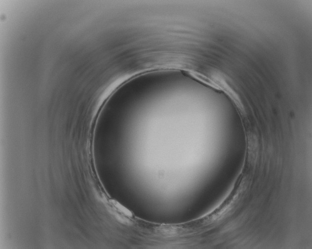 X0000062840956200601201635