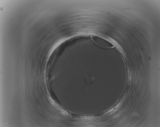 X0000062840958200601201635