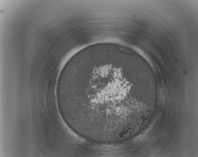 X0000062840959200601201635