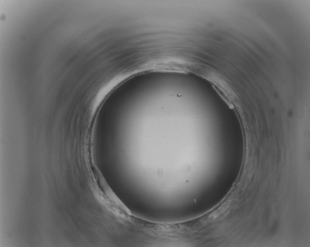 X0000062840960200601201635