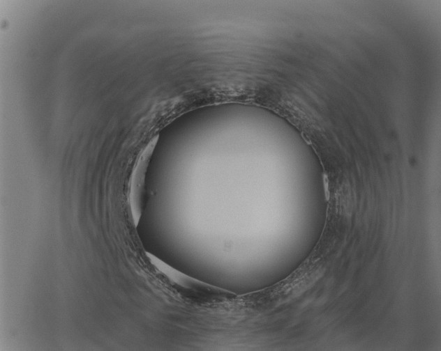 X0000062840961200601201634