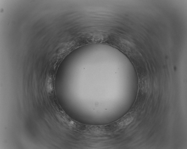 X0000062840962200601201634