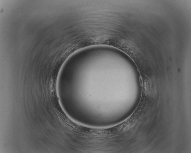 X0000062840963200601201634