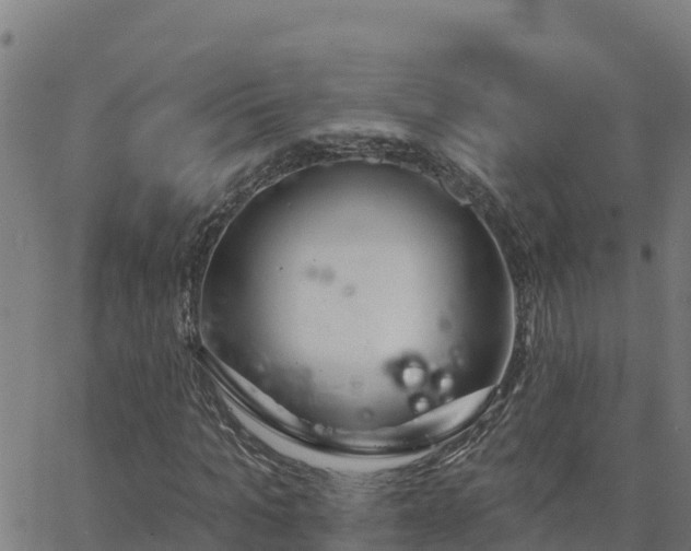 X0000062840965200601201634