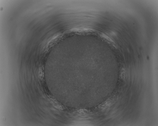 X0000062840966200601201634