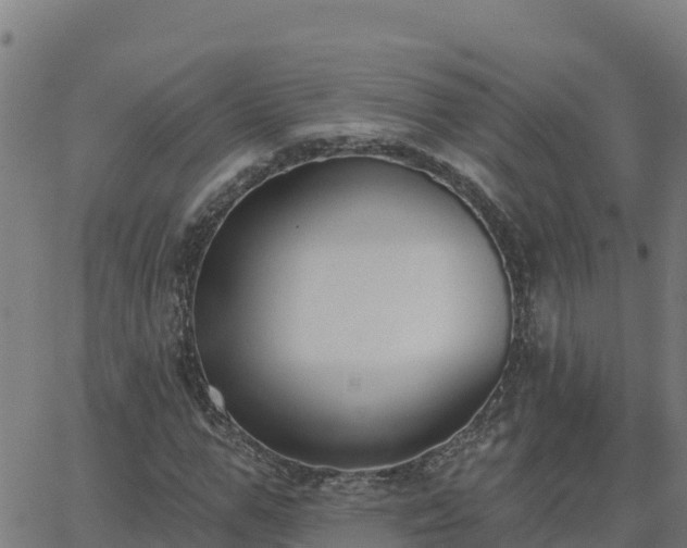 X0000062840967200601201634