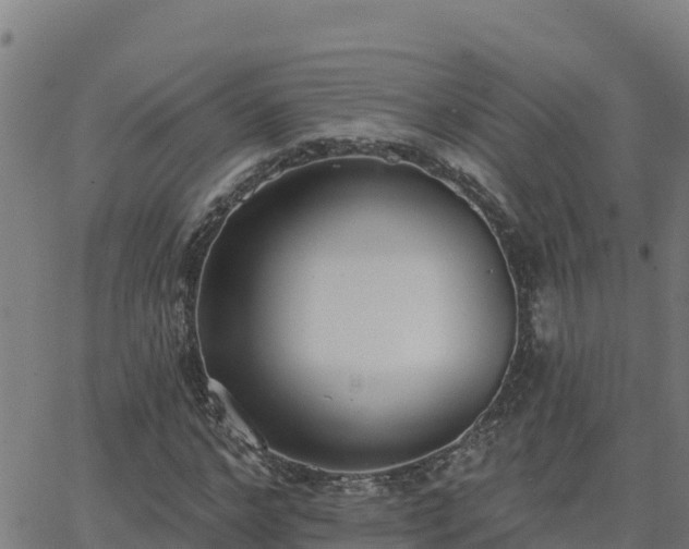 X0000062840968200601201634