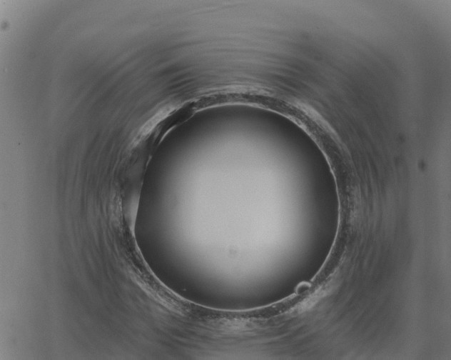 X0000062840969200601201634