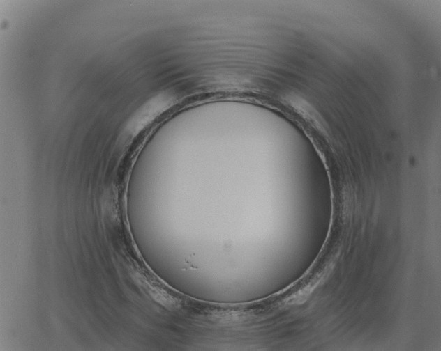 X0000062840970200601201634