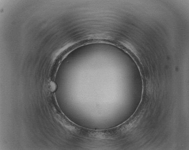 X0000062840971200601201634