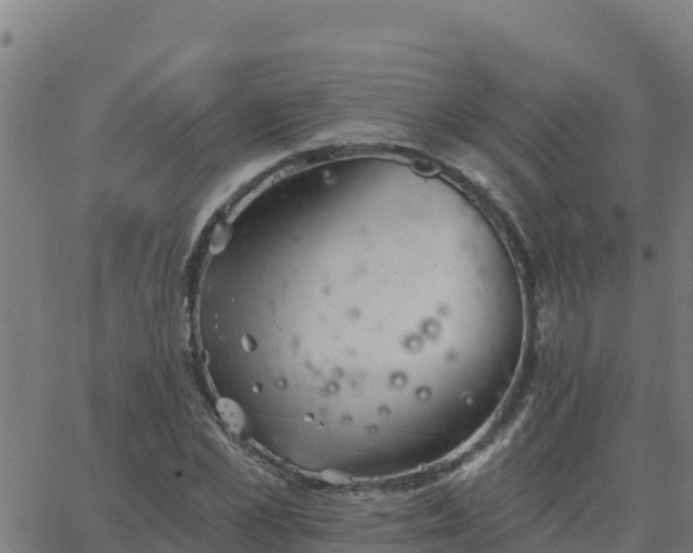 X0000062840973200601201634