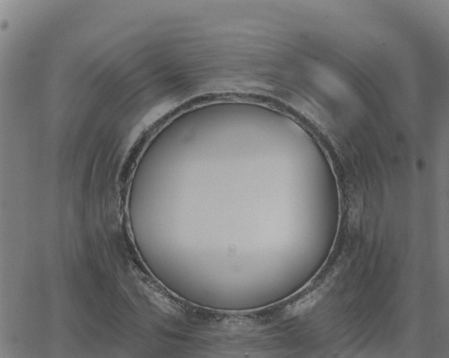 X0000062840974200601201634