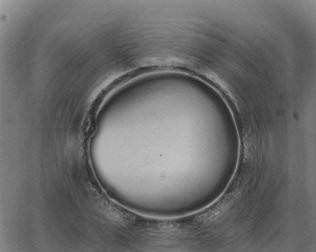 X0000062840975200601201634