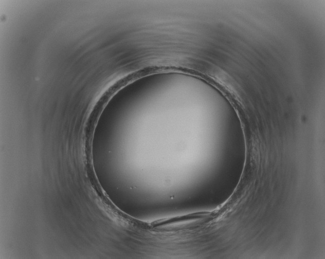 X0000062840976200601201634