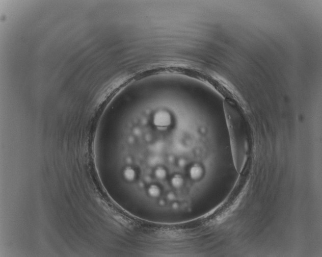 X0000062840977200601201634