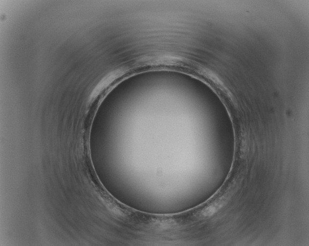 X0000062840978200601201634