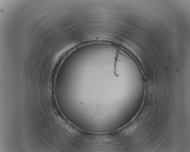 X0000062840979200601201633