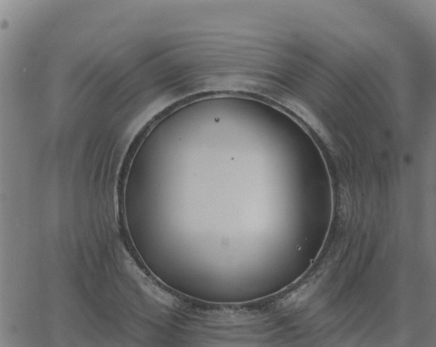 X0000062840980200601201633