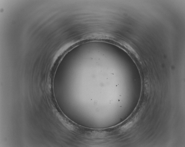 X0000062840981200601201633