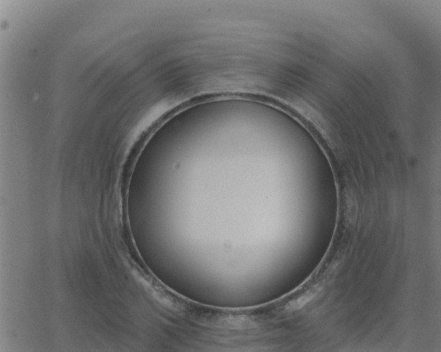 X0000062840982200601201633